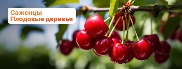 Плодовые деревья